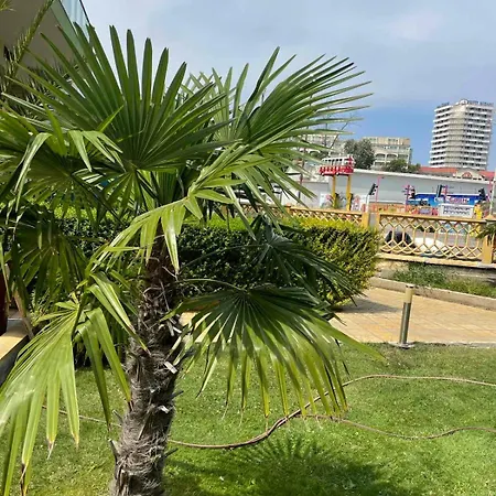 アパート Gallery A