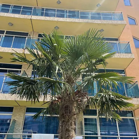 Gallery A * サニービーチ