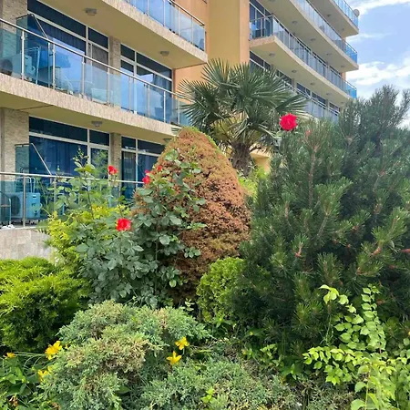 Gallery A サニービーチ