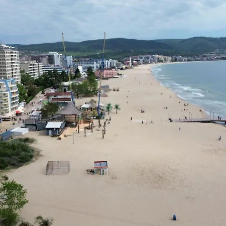 Gallery A アパート サニービーチ