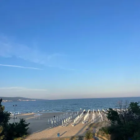 アパート Gallery A サニービーチ