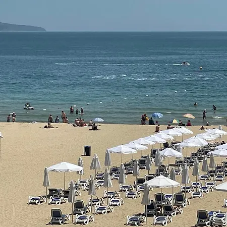 Gallery A * サニービーチ