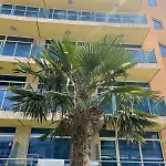 Gallery A * ساني بيتش
