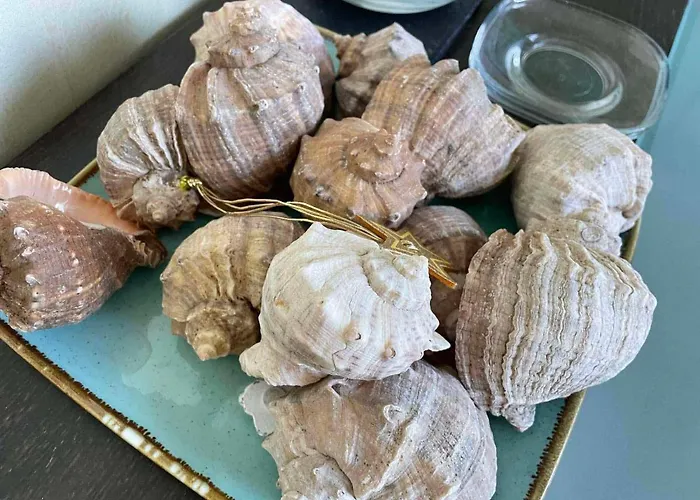 Gallery A Апартамент Слънчев бряг