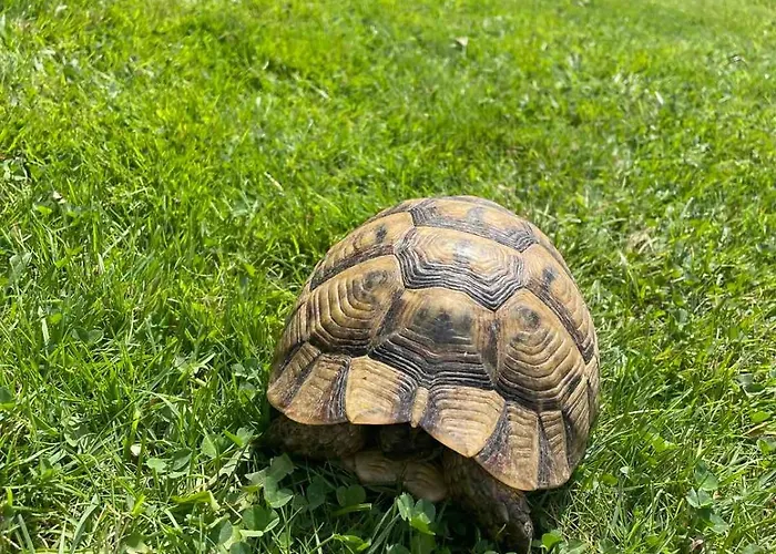 Апартамент Gallery A *