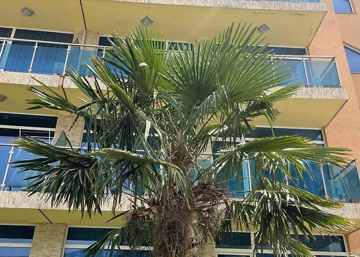 Gallery A * Sunny Beach